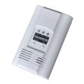 Combustible Gas & Carbon Monoxide Alarm